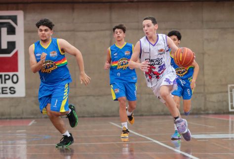 torneio-rookies-basquete