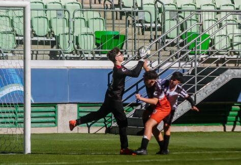 fotos-pedro-almeida-allianz-park-futebol