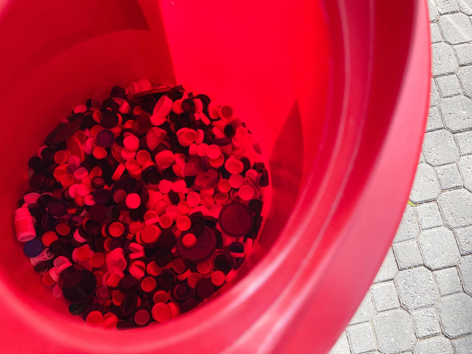 WhatsApp Image 2025-11-07 at 15.56.35 (1)